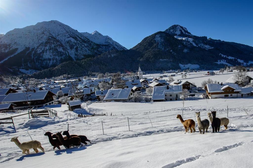 Vila Alpakahof Wechs Bad Hindelang Exteriér fotografie