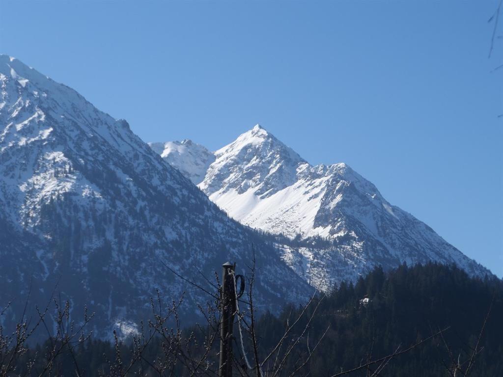 Vila Alpakahof Wechs Bad Hindelang Exteriér fotografie