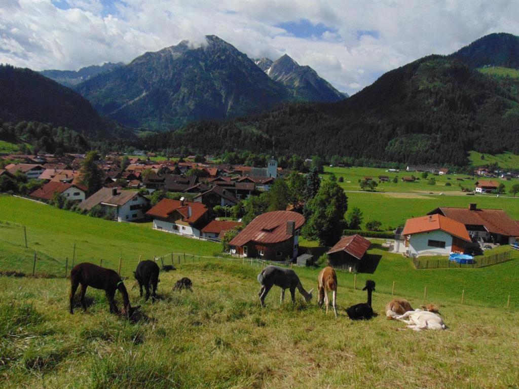 Vila Alpakahof Wechs Bad Hindelang Exteriér fotografie