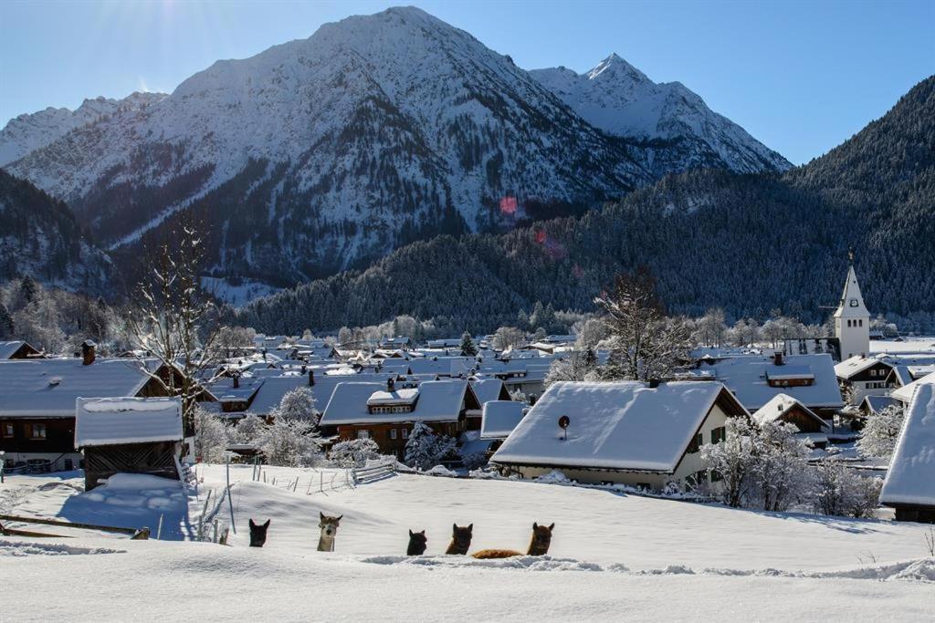 Vila Alpakahof Wechs Bad Hindelang Exteriér fotografie